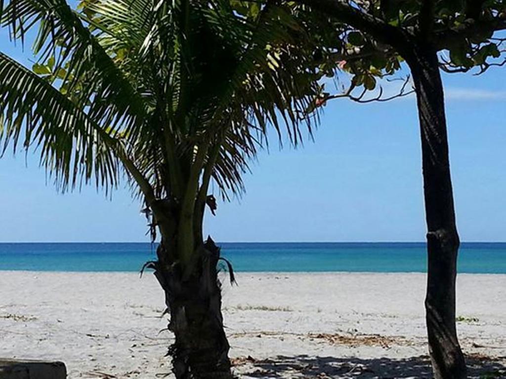 Rama International Beach Resort Botolan Eksteriør billede